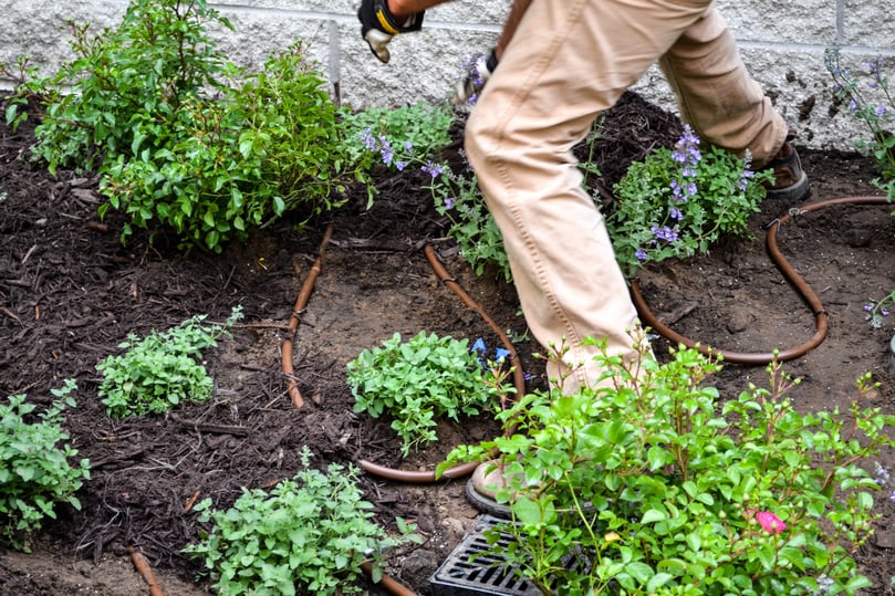 Residential Irrigation