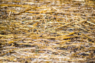 erosion blanket